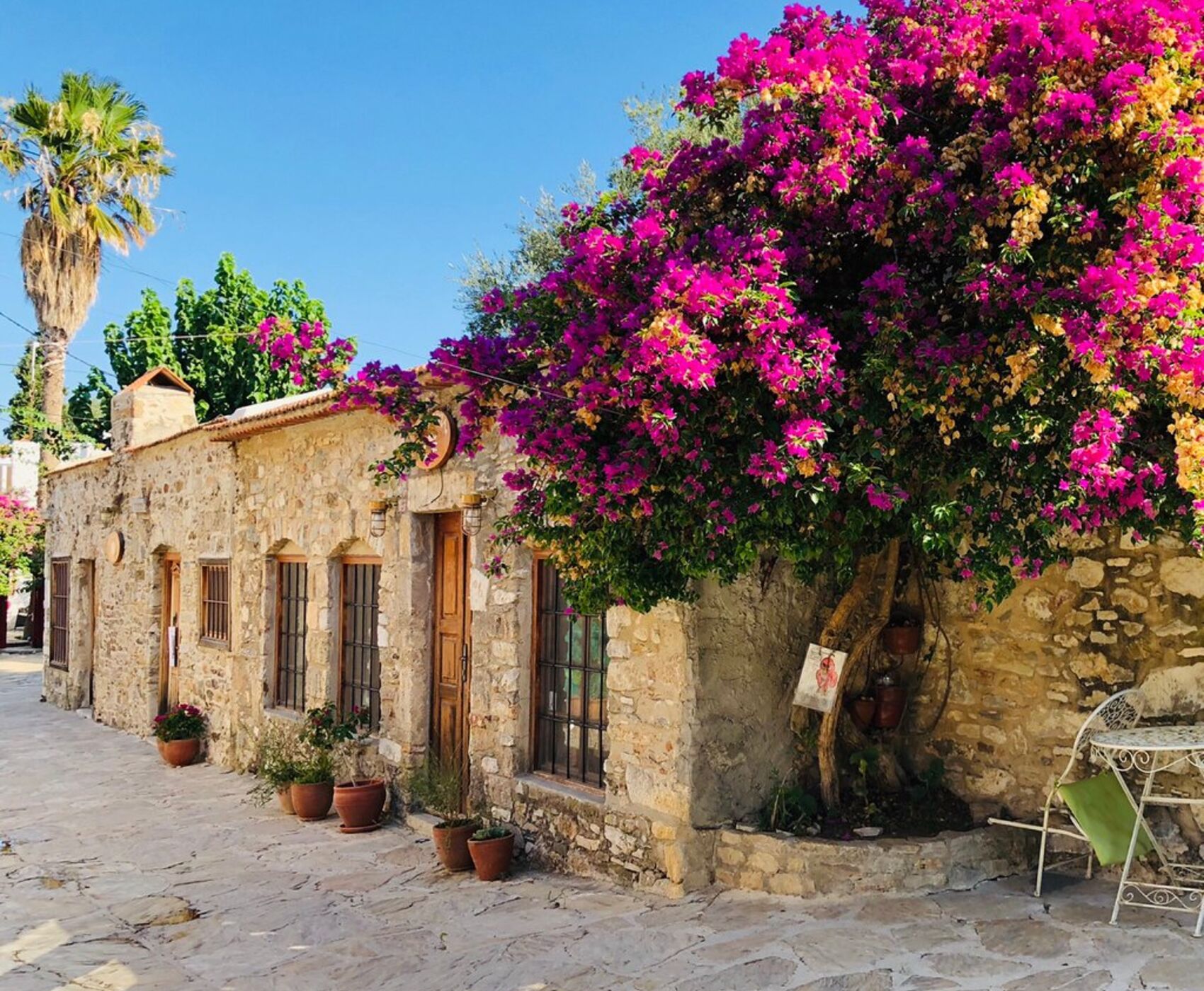 DATÇA BADEM ÇİÇEĞİ FESTİVALİ