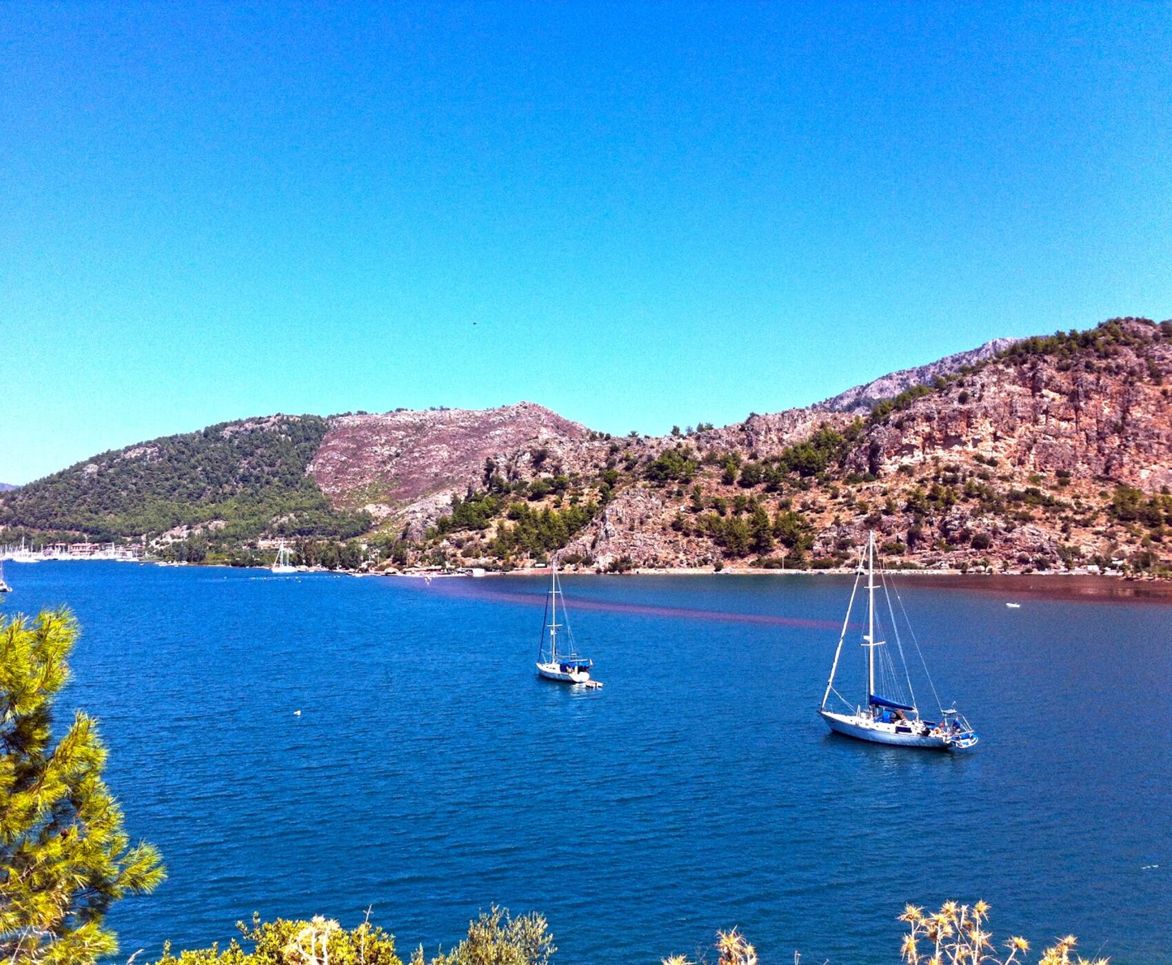 DATÇA BADEM ÇİÇEĞİ FESTİVALİ