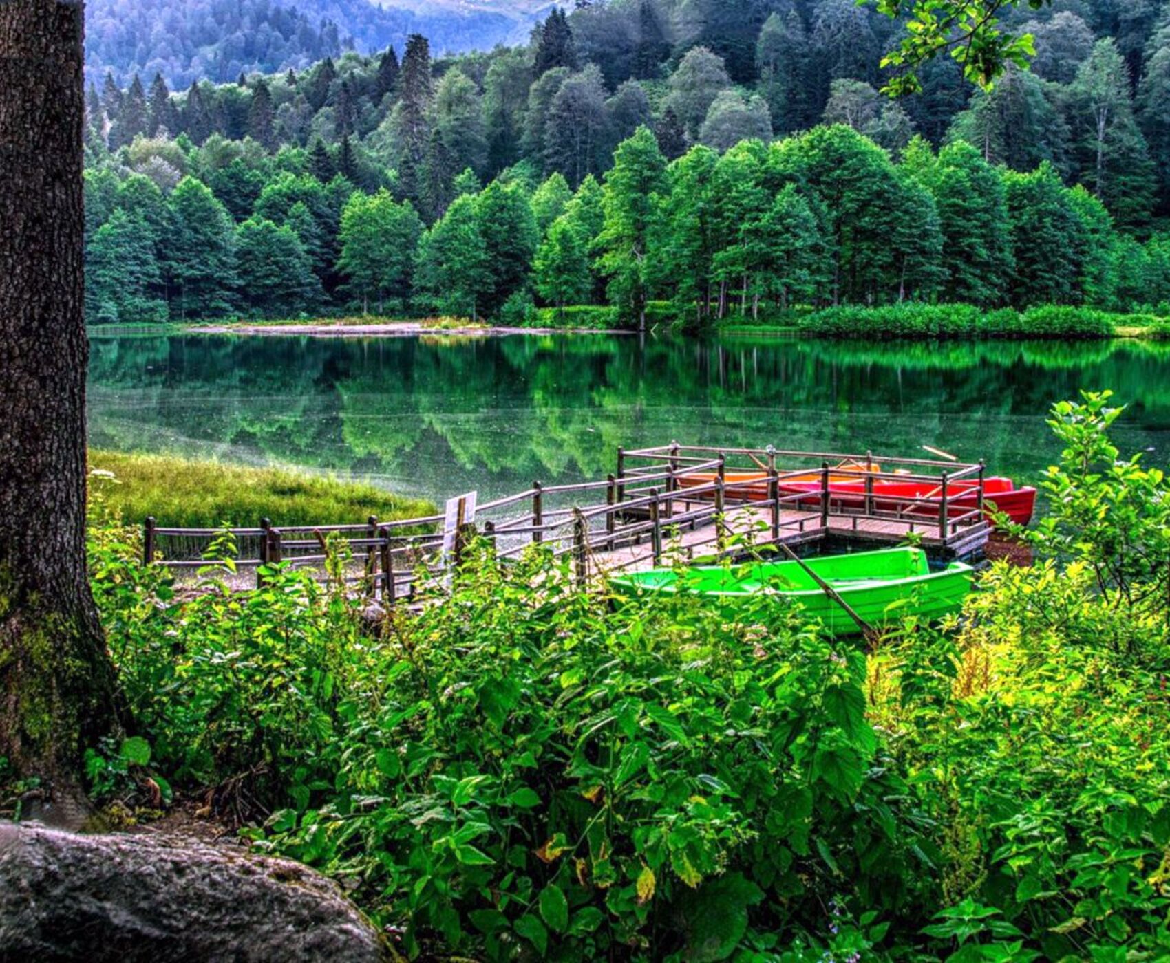 UÇAKLI VAN KARS KARADENİZ BATUM TURU