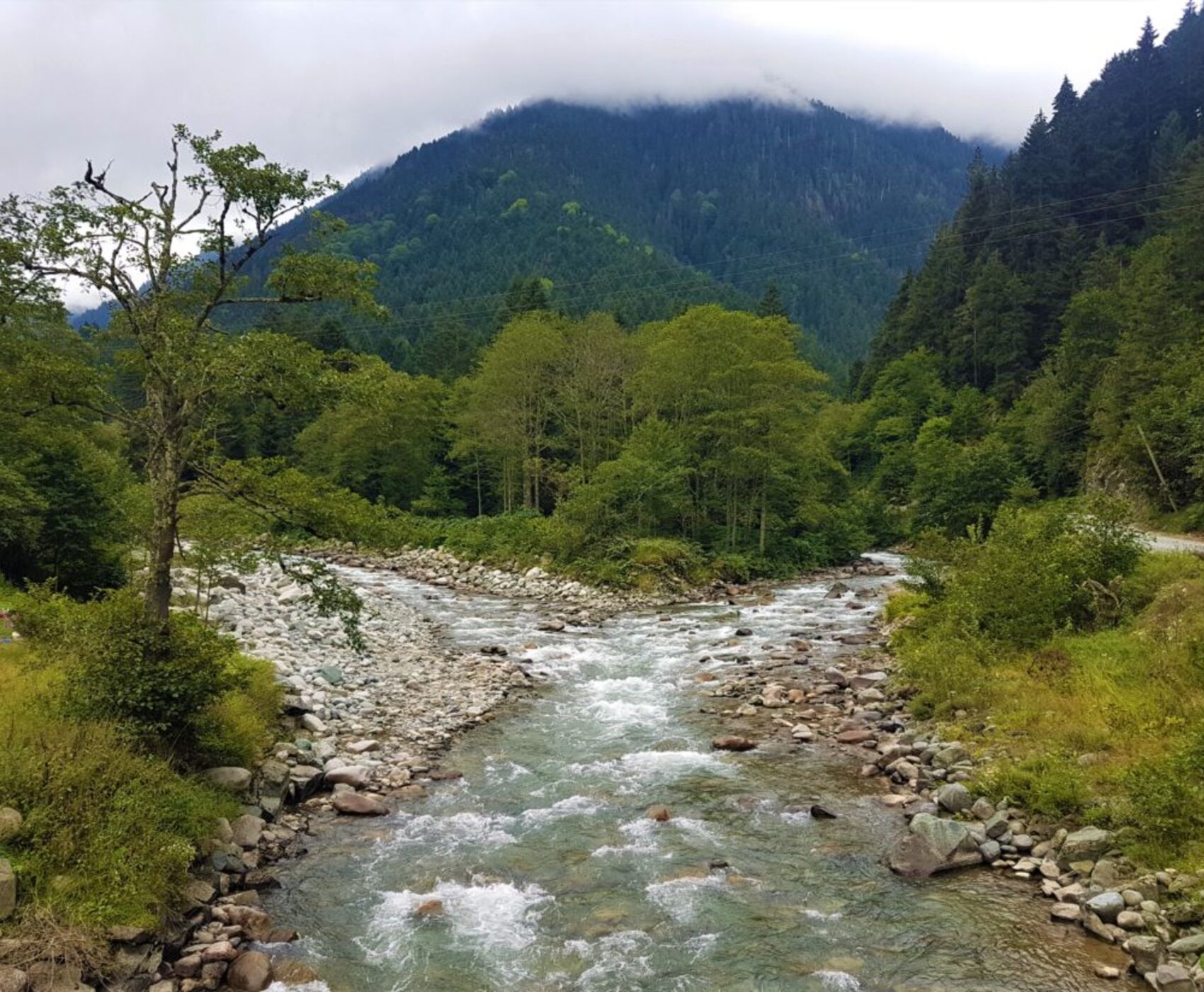 UÇAKLI VAN KARS KARADENİZ BATUM TURU