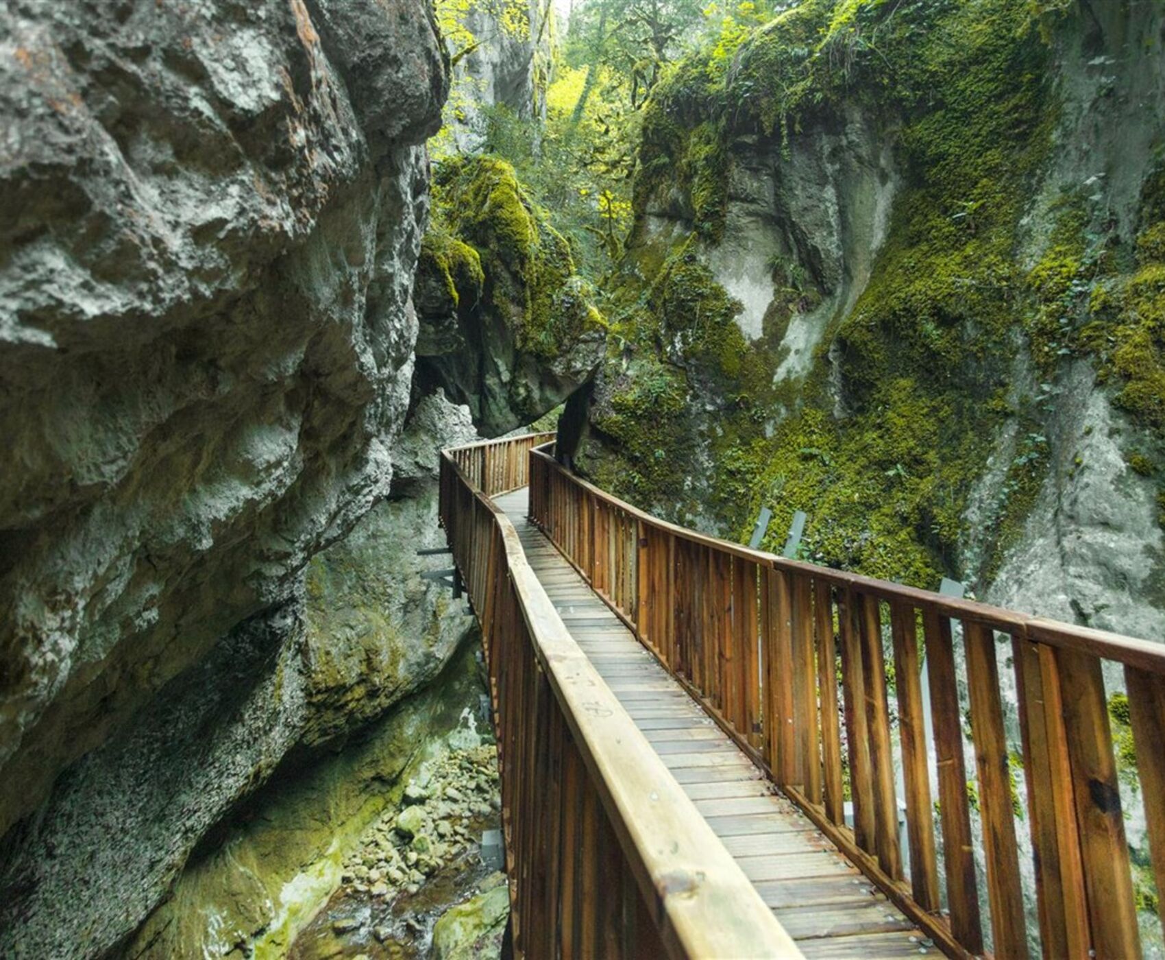 UÇAKLI SAMSUN SİNOP KASTAMONU SAFRANBOLU 19 MAYIS ÖZEL TURU