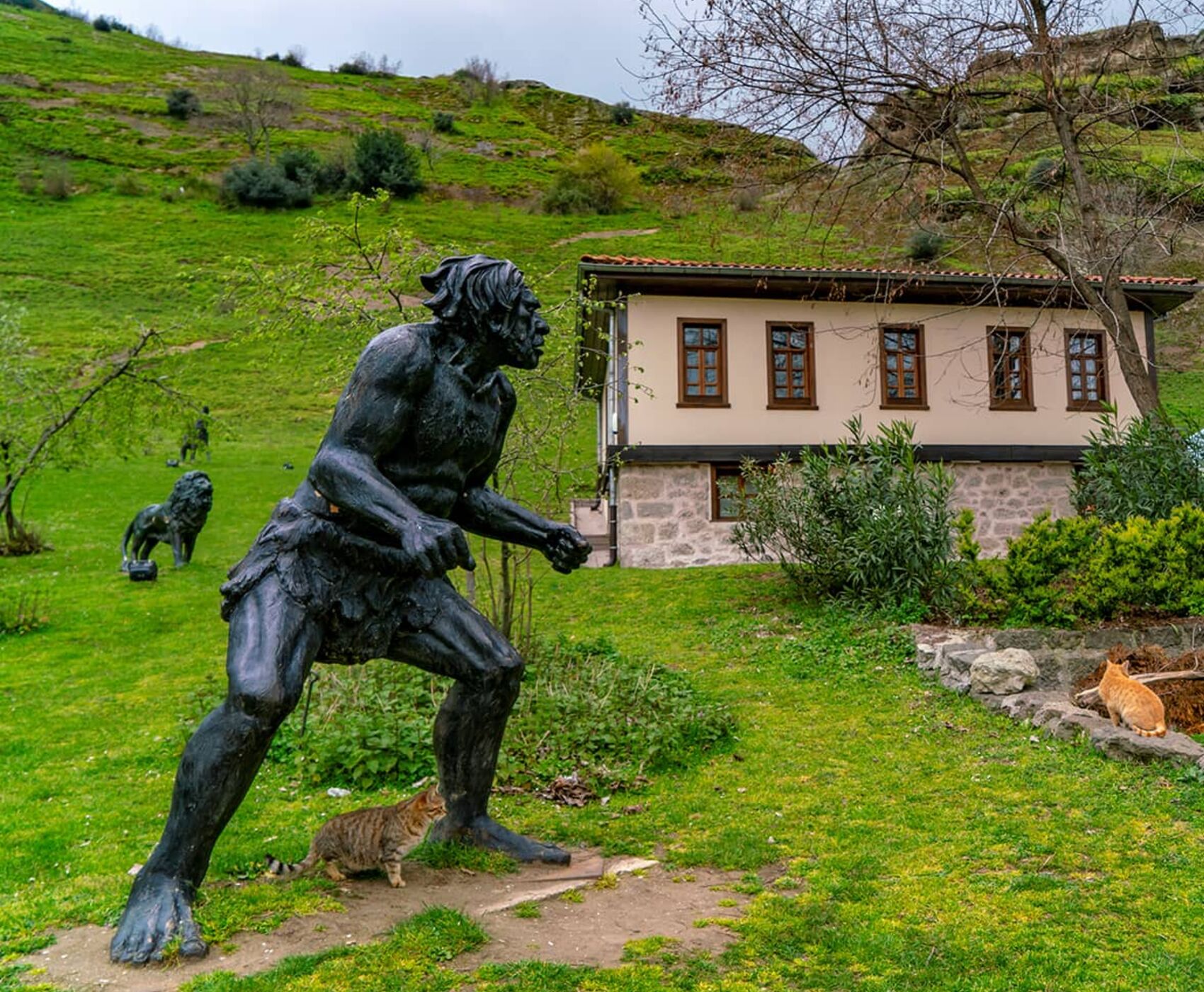 UÇAKLI SAMSUN SİNOP KASTAMONU SAFRANBOLU 19 MAYIS ÖZEL TURU