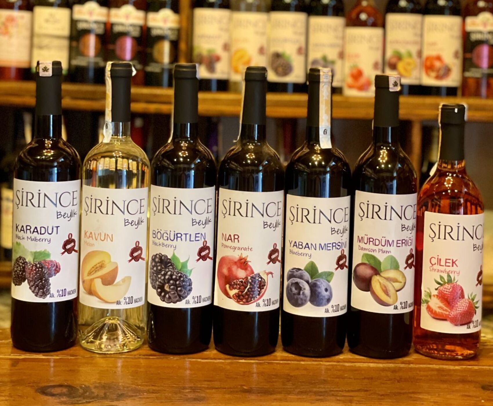 BODRUM - DİDİM - KUŞADASI - İZMİR - ALAÇATI - ÇEŞME - FOÇA - ŞİRİNCE