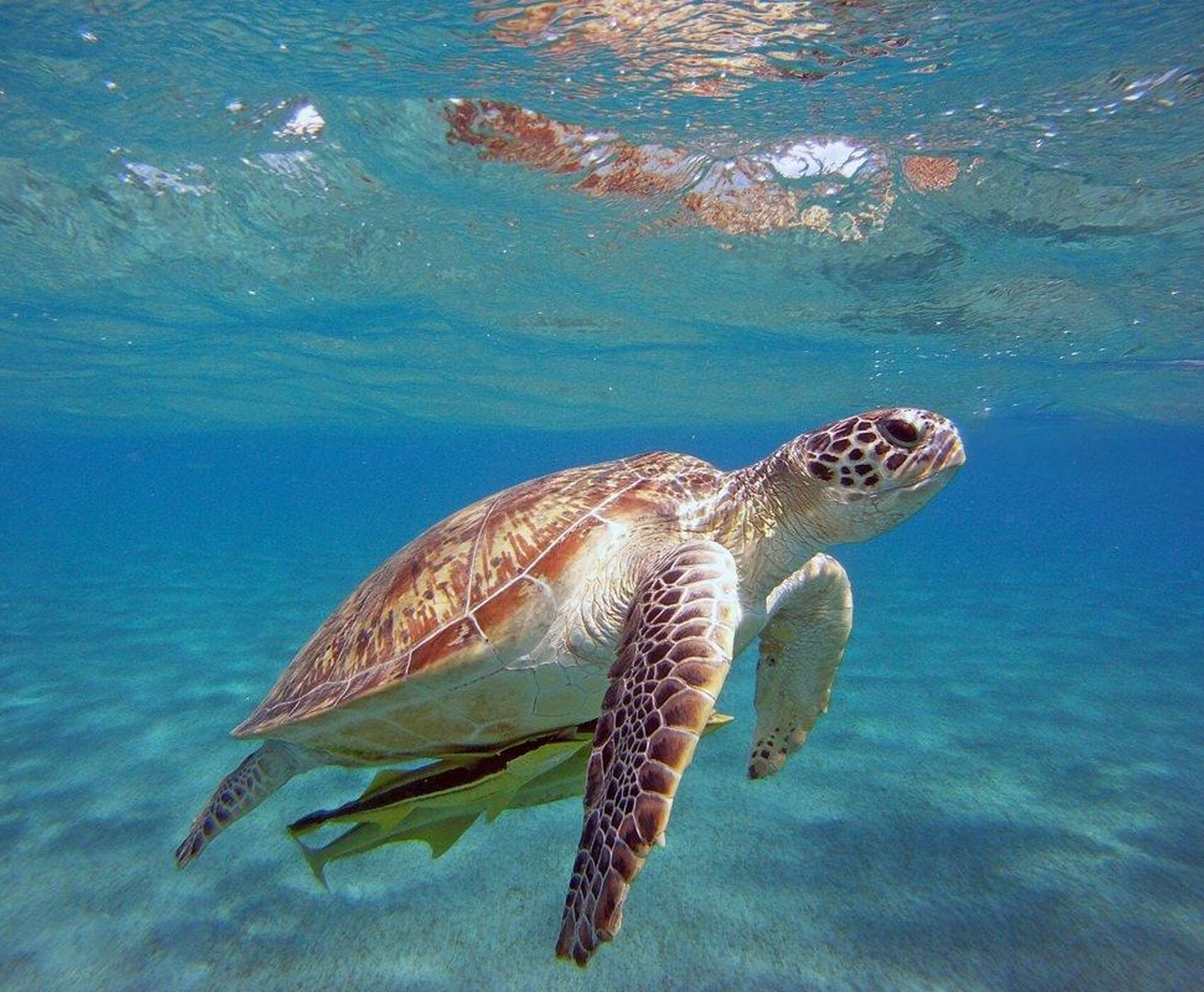 KUNDU ÇIKIŞLI DÜDEN ŞELALESİ YAT TURU