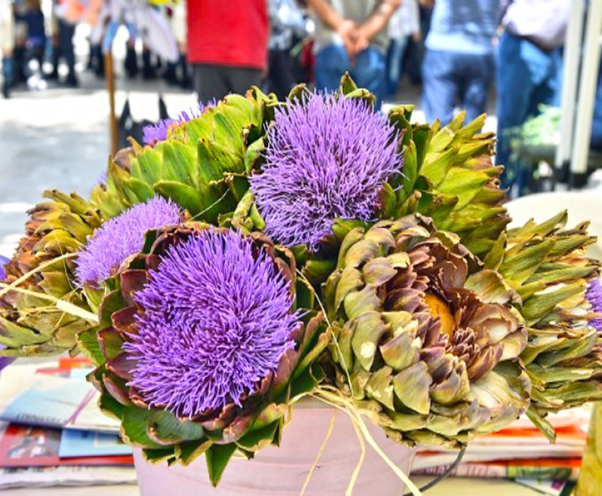 URLA ENGİNAR FESTİVALİ