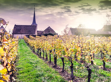 Comfort Alsace İsviçre Turu Türk Hava Yolları ile 3 Gece Ekstra Turlar Kasım Ara Tatil Dönemi BSL-BSL 