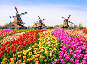 Benelux - Paris Serüveni Turu Pegasus Hava Yolları ile 7 Gece AMS-ORY 