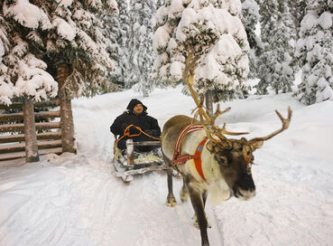 Comfort Lapland Turu Türk Hava Yolları ile 3 Gece (RVN-RVN) 2026 Dönemi