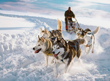 Ankara Çıkışlı Lapland Sömestre Özel