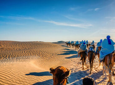 Görkemli Tunus ve Antik Kentler 3 Gece THY ile (2026 İlkbahar Dönemi) Tüm Turlar ve Akşam Yemekleri Dahil! AT145