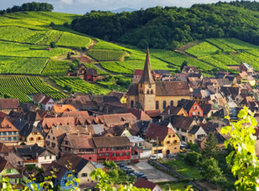 Elit Alsace Noel Pazarları Turu THY ile 3 Gece Ekstra Turlar Dahil ( Zürih - Stuttgart )