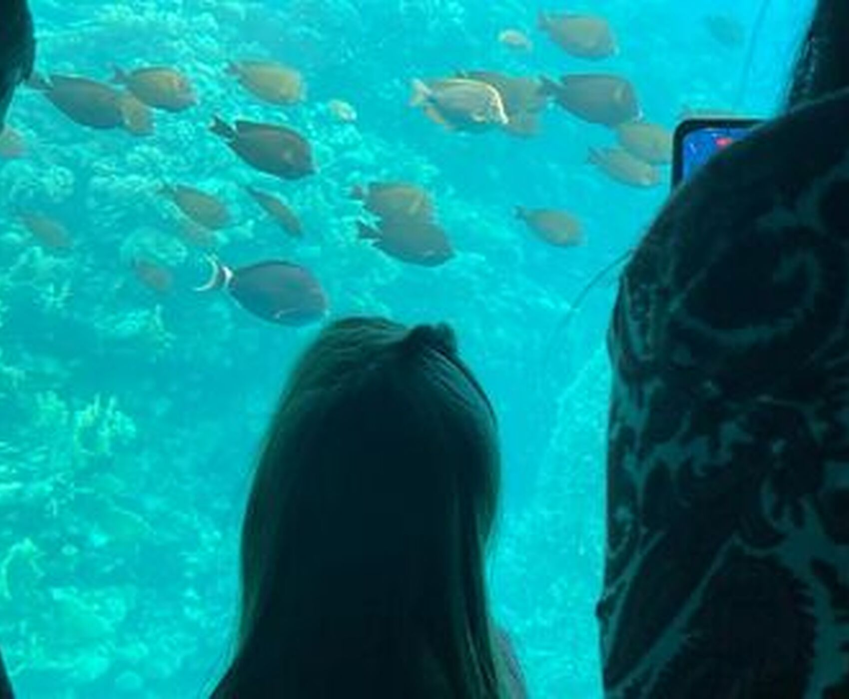 SHARM EL SHEIKH KAHİRE ( MISIR TURU ) 3 GECE