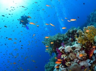 İZMIR'DEN SHARM EL SHEIKH PROMO TURU SunExpress Havayolları ile 3 gece