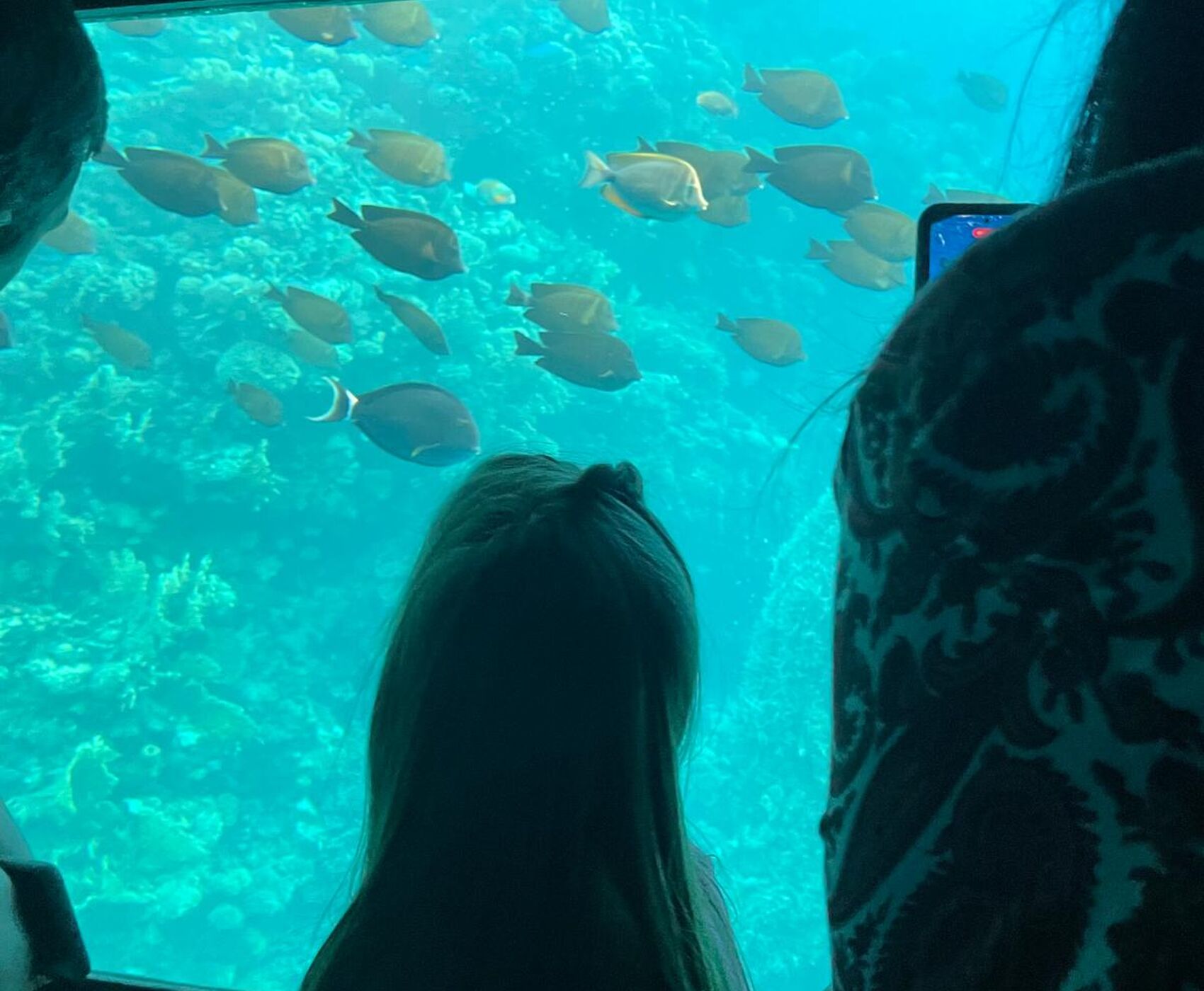 ANTALYA DAN DİREKT UÇAKLI KAHİRE & PİRAMİTLER & İSKENDERİYE & SHARM EL SHEİKH