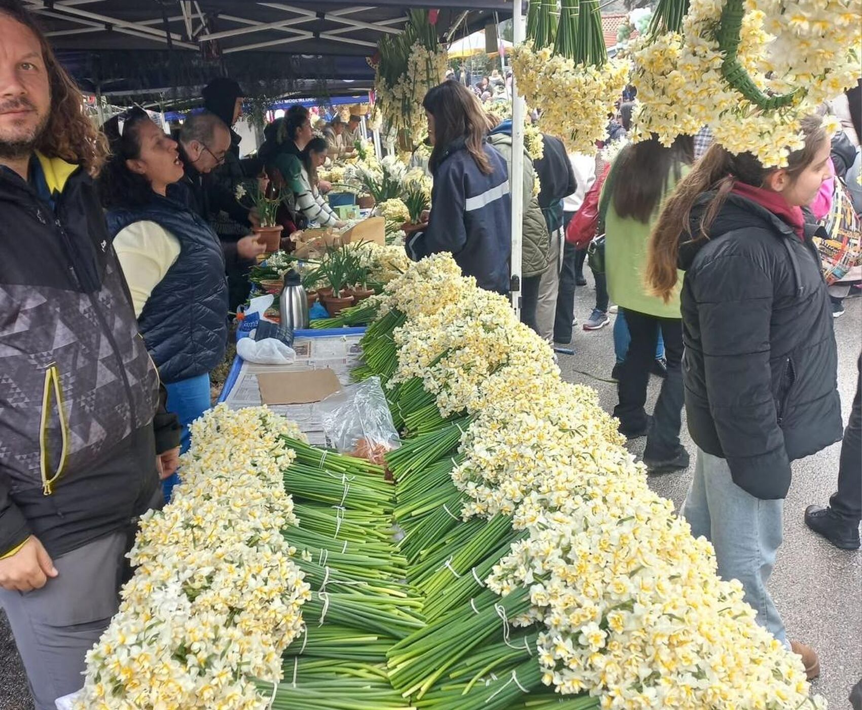 EGE'NİN EN RENKLİ KIŞ FESTİVALİ - NERGİS FESTİVALİ ROTASI