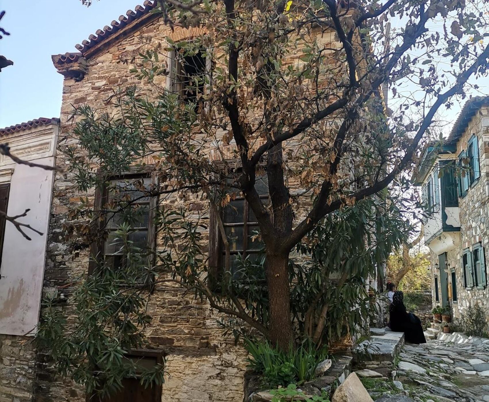 EGE'NİN EN RENKLİ KIŞ FESTİVALİ - NERGİS FESTİVALİ ROTASI