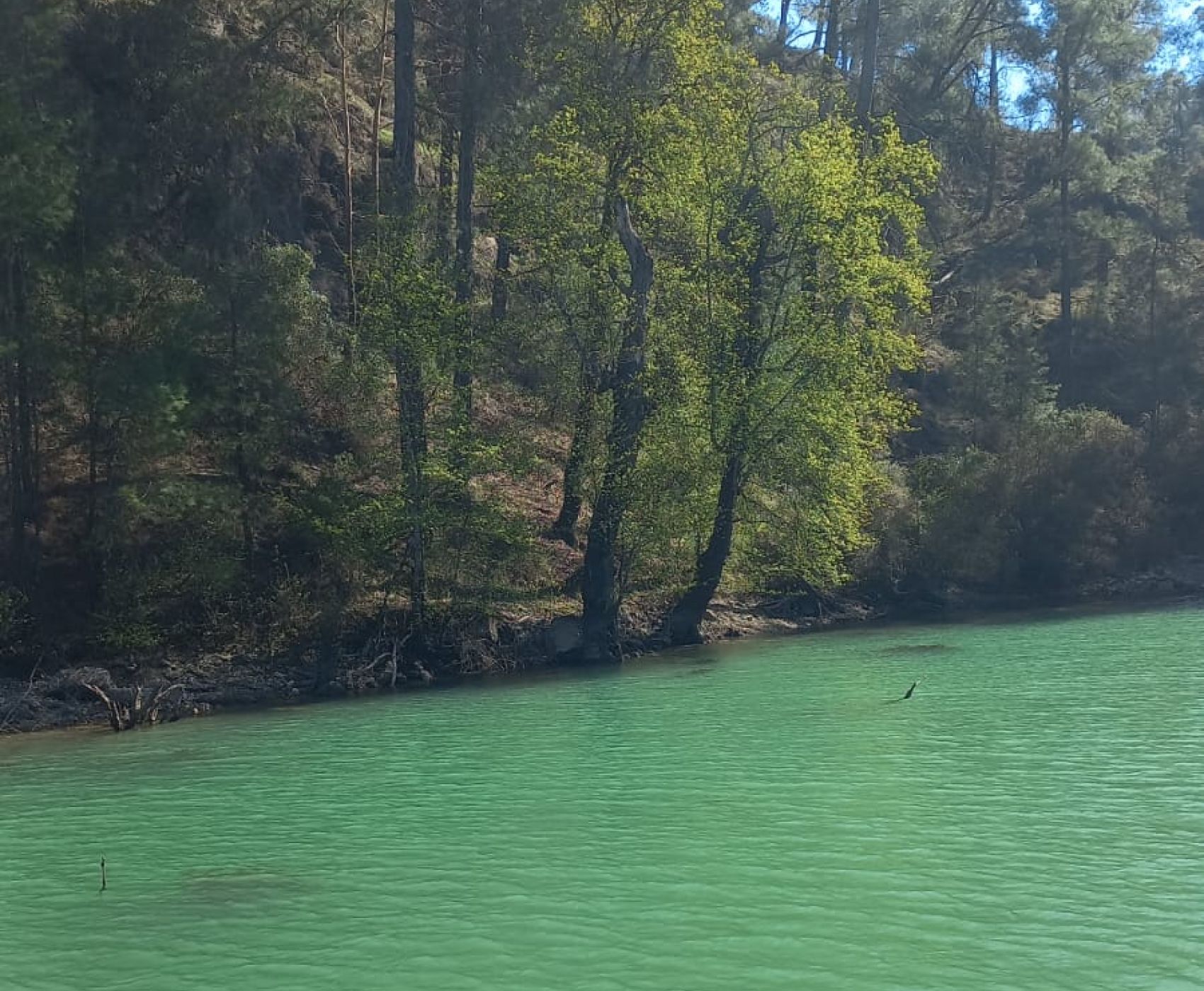SAGALASSOS ANTİK KENTİ & KARACAÖREN SIĞLA ORMANLARI KANYON TEKNE TURU